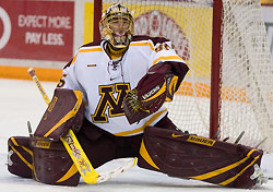 Minnesota goaltender Brent Solei made 28 saves in win. 