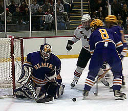 Elmira goalie Greg Fargo stopped 34 shots in the losing effort.