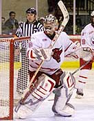 Goalie Dan Ellis will be relied upon heavily this season by the Mavericks.