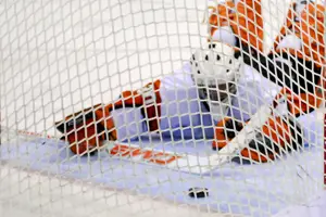 RIT's Louis Menard can do nothing as the puck enters the net (photo: Angelo Lisuzzo).