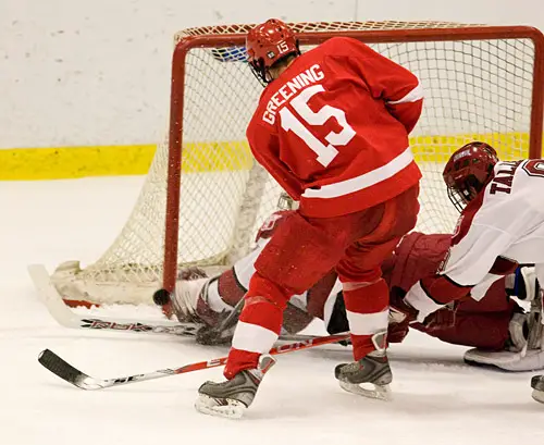 Colin Greening (15) scores his second goal of the night.