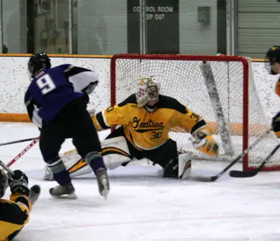 Gustavus Adolphus goaltender Josh Swartout made 18 stops in the Gusties opening round victory over St. Thomas (photo: Matthew Webb).