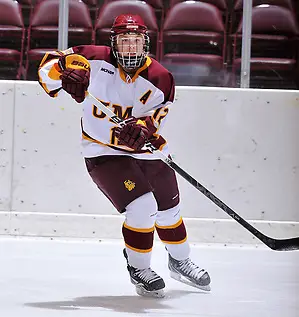 Minnesota-Duluth forward Haley Irwin. (Brett Groehler)