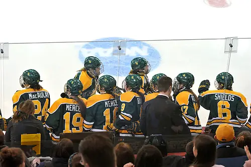 2014 Clarkson - Minnesota- #11 Vanessa Plante celebrates at the bench; Copyright 2014 Angelo Lisuzzo (Angelo Lisuzzo)