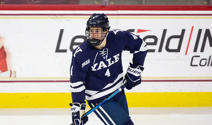 Hockey helps heal: Community steps up to bring Humboldt team to Bemidji  tournament