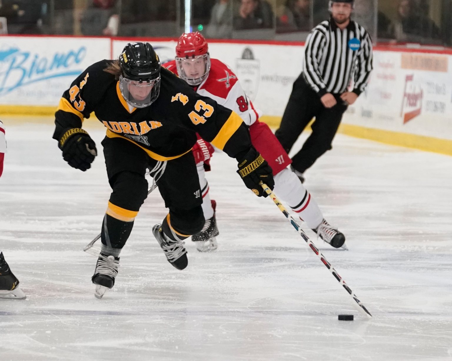 This Week in College Hockey: D-III West Playoff Preview - College ...