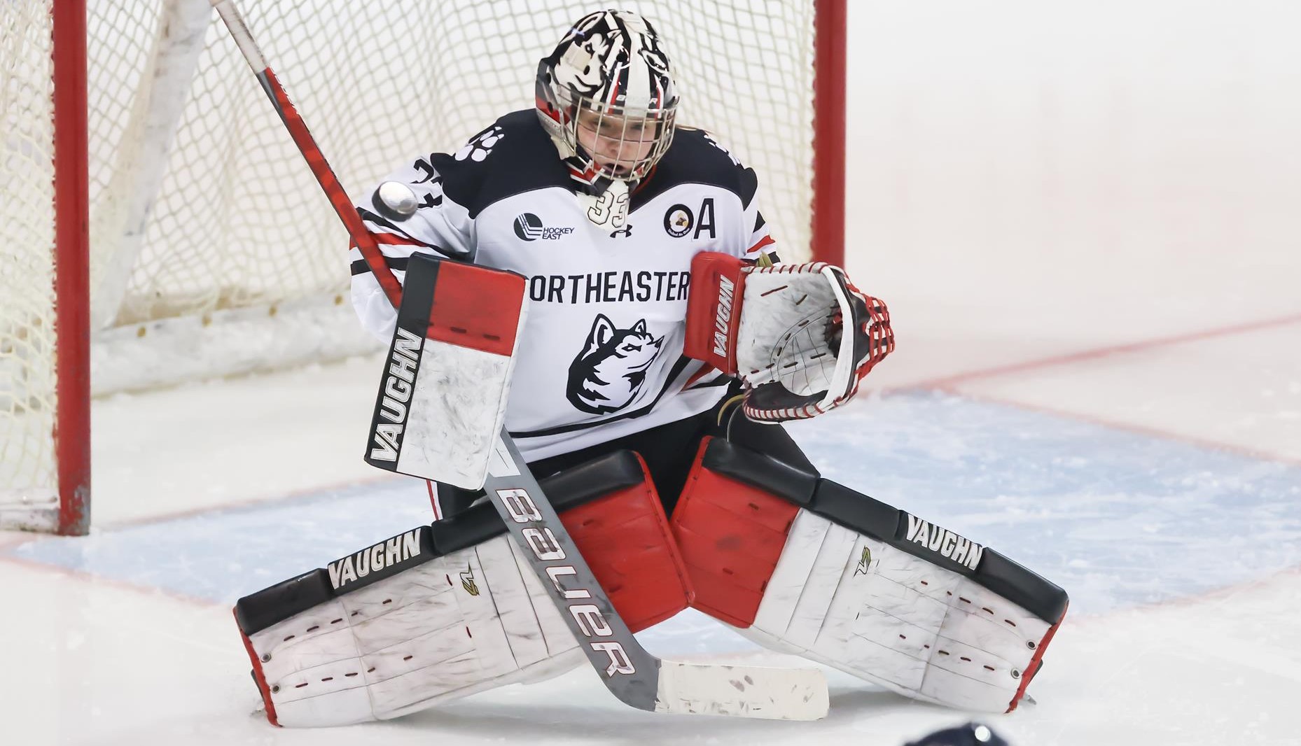 goalie Frankel continues awards haul, earns top honors from USA - College Hockey | USCHO.com