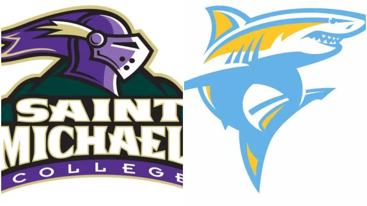 Next three Saint Michael's women's hockey games postponed due to