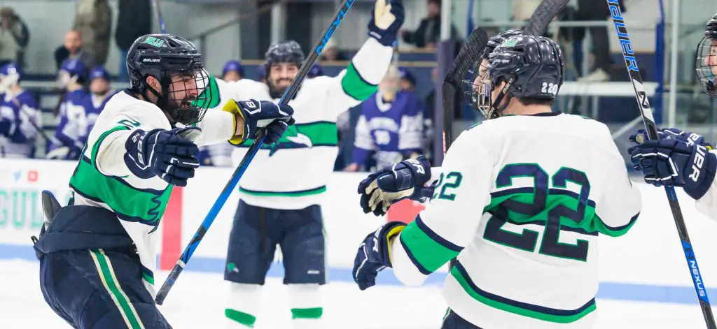 3 Statesmen host #7 Babson, Southern Maine to open NEHC play - Hobart and  William Smith Colleges Athletics
