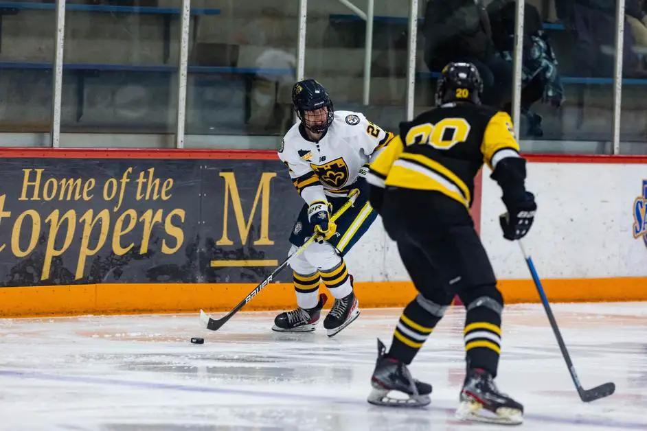 2022-23 Cortland Women's Ice Hockey Charity Jersey Auction Page