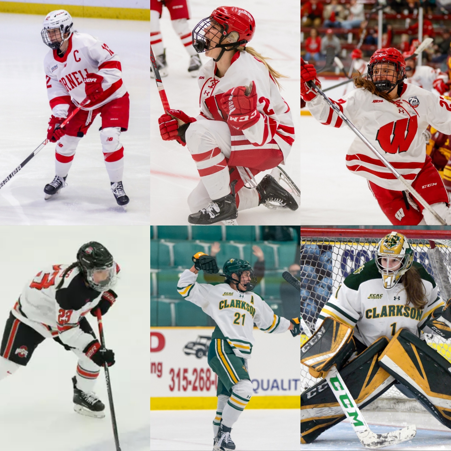 Women’s Division I College Hockey: 2023-24 All-USCHO Teams - College ...